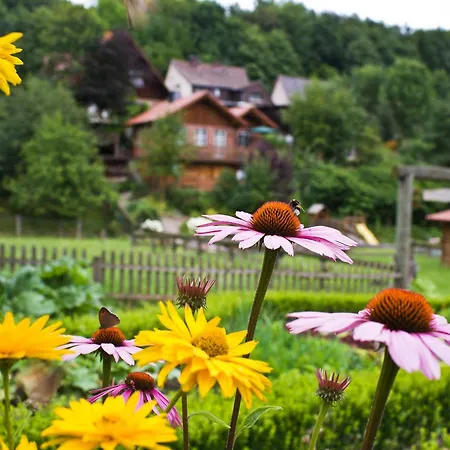Buren-hof Apartament Bodenfelde