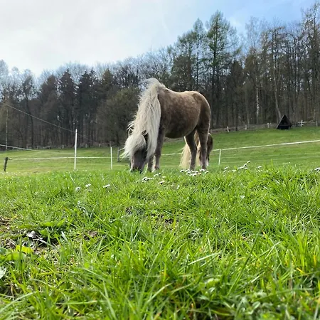 Buren-hof Apartament