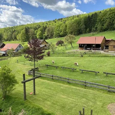 Buren-hof Apartament