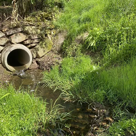 Buren-hof Daire Bodenfelde