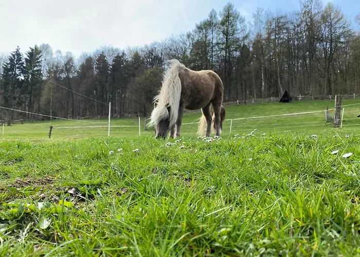 Buren-hof Appartement