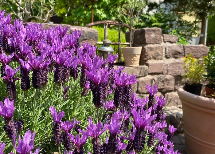 Appartement Buren-hof *