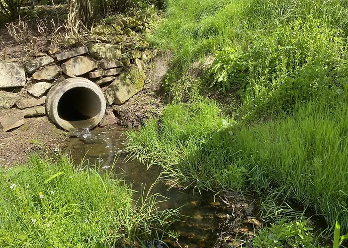 Buren-hof Appartement Bodenfelde